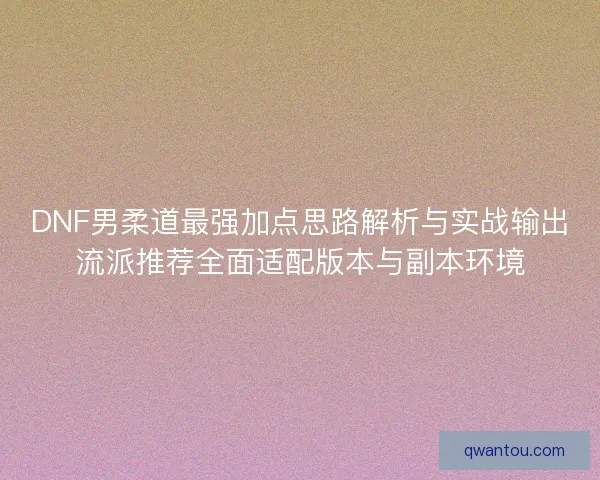 DNF男柔道最强加点思路解析与实战输出流派推荐全面适配版本与副本环境